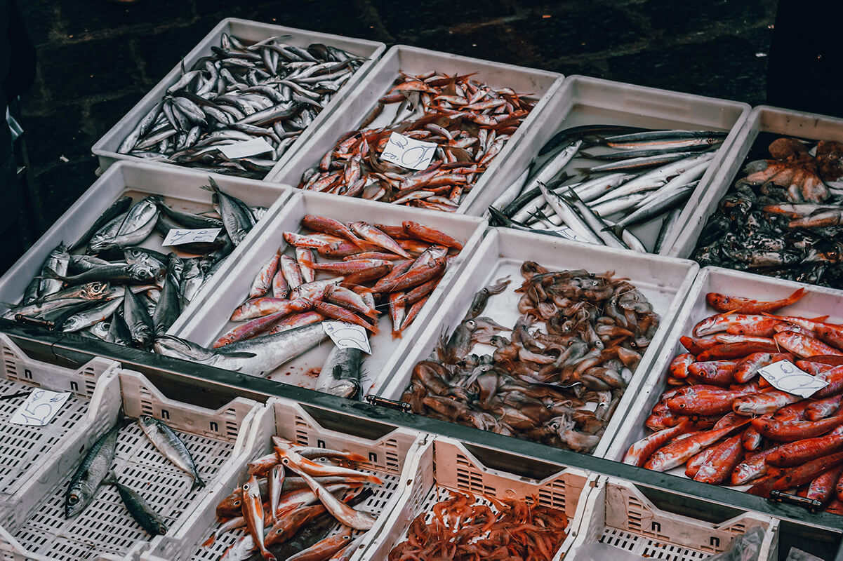 many fishes for sale in catania fish market