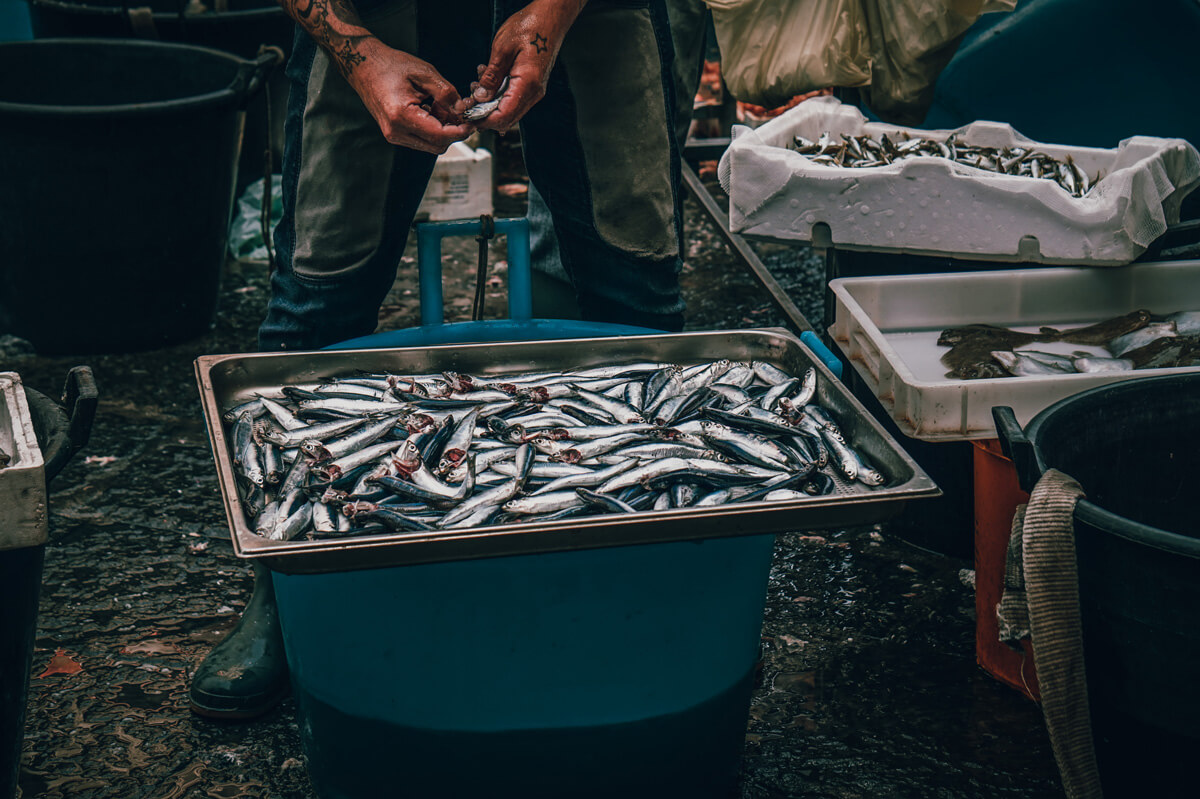 local man cut fish with his hand in catania fish market sicily
