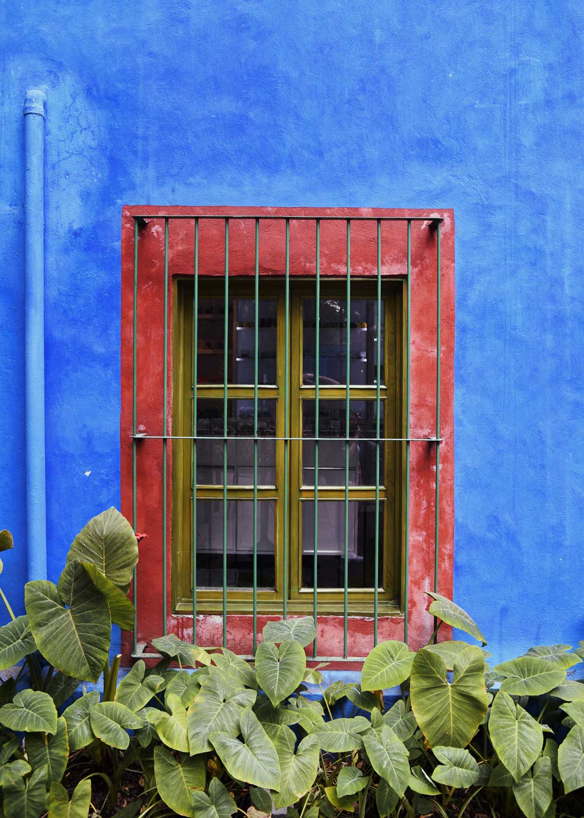  Frida Kahlo HOUSE in Mexico City
