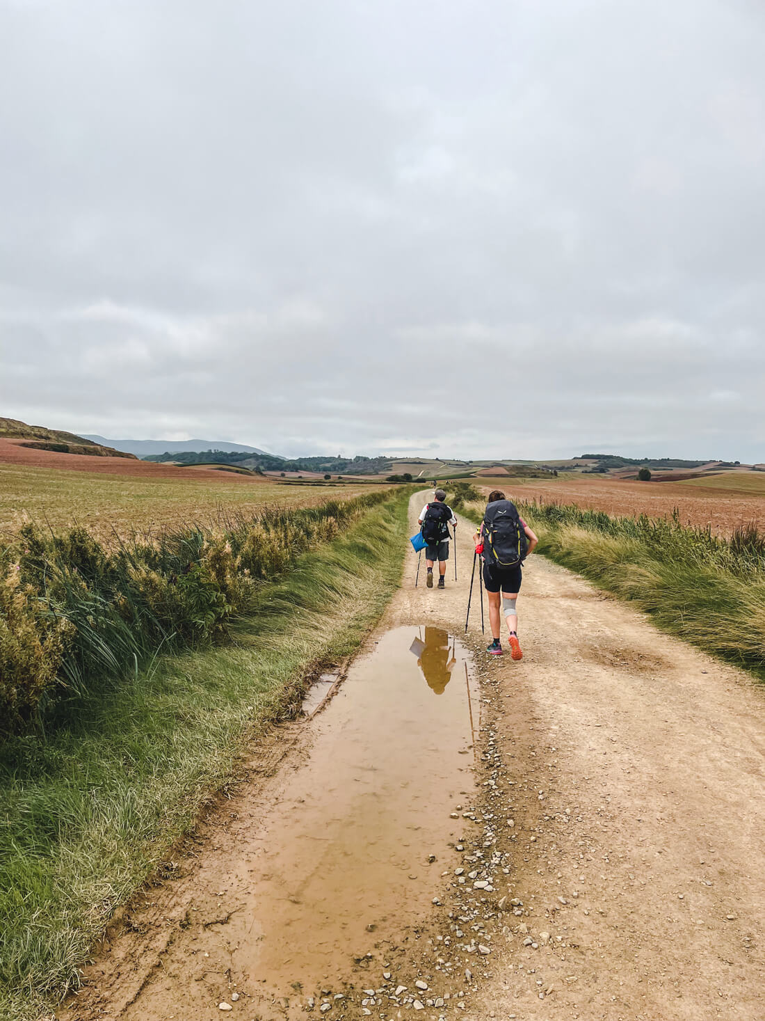 camino santiago french way