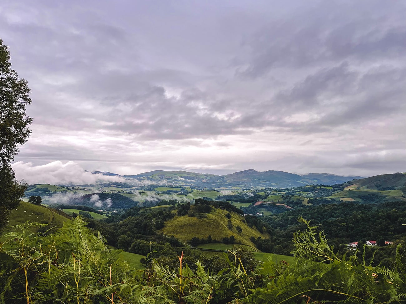 camino frances route planner