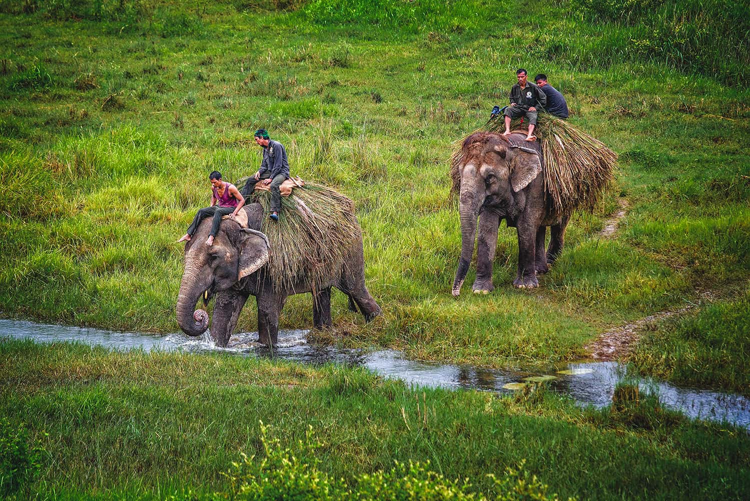 chitwan national park nepal