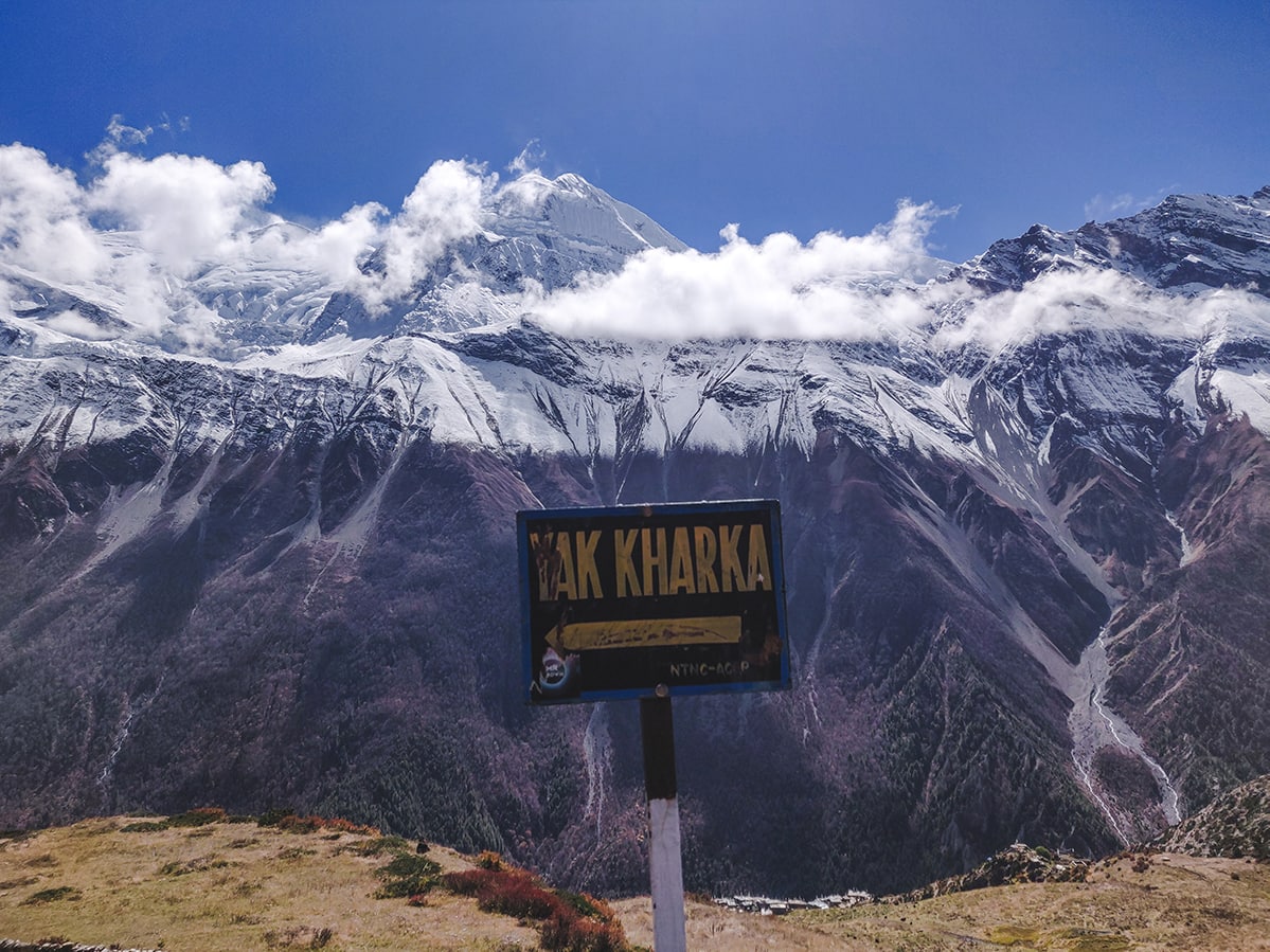 yak kharka annapurna