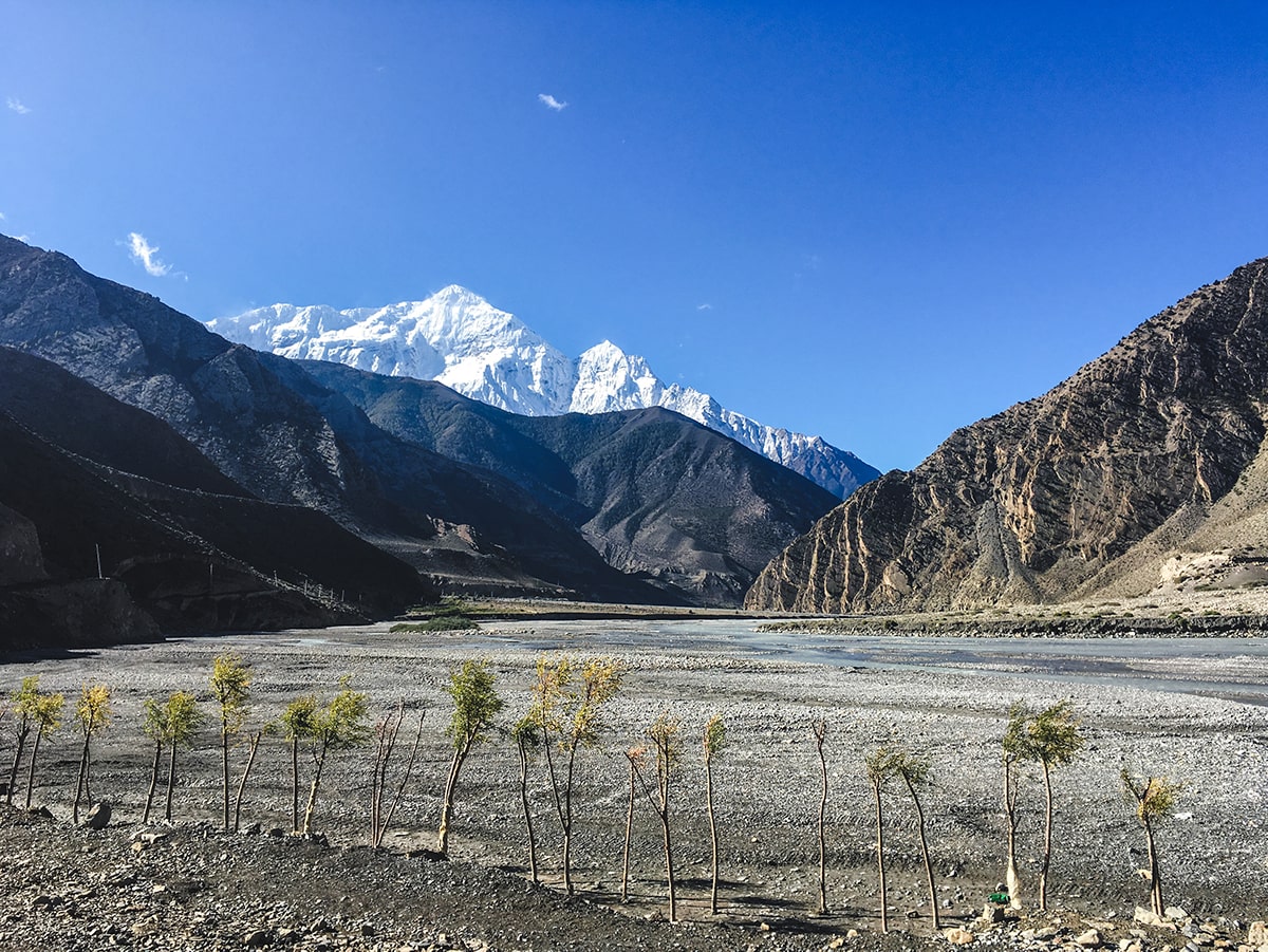 annapurna circuit trek solo