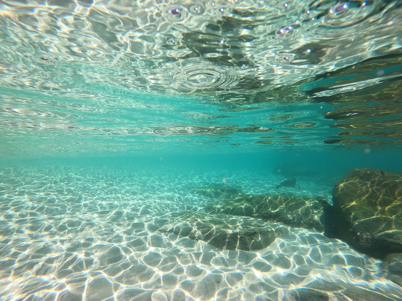 snorkeling in ko kut