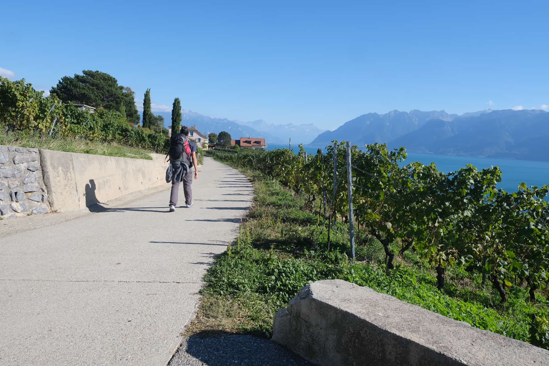 man walking via francigena near lake geneva