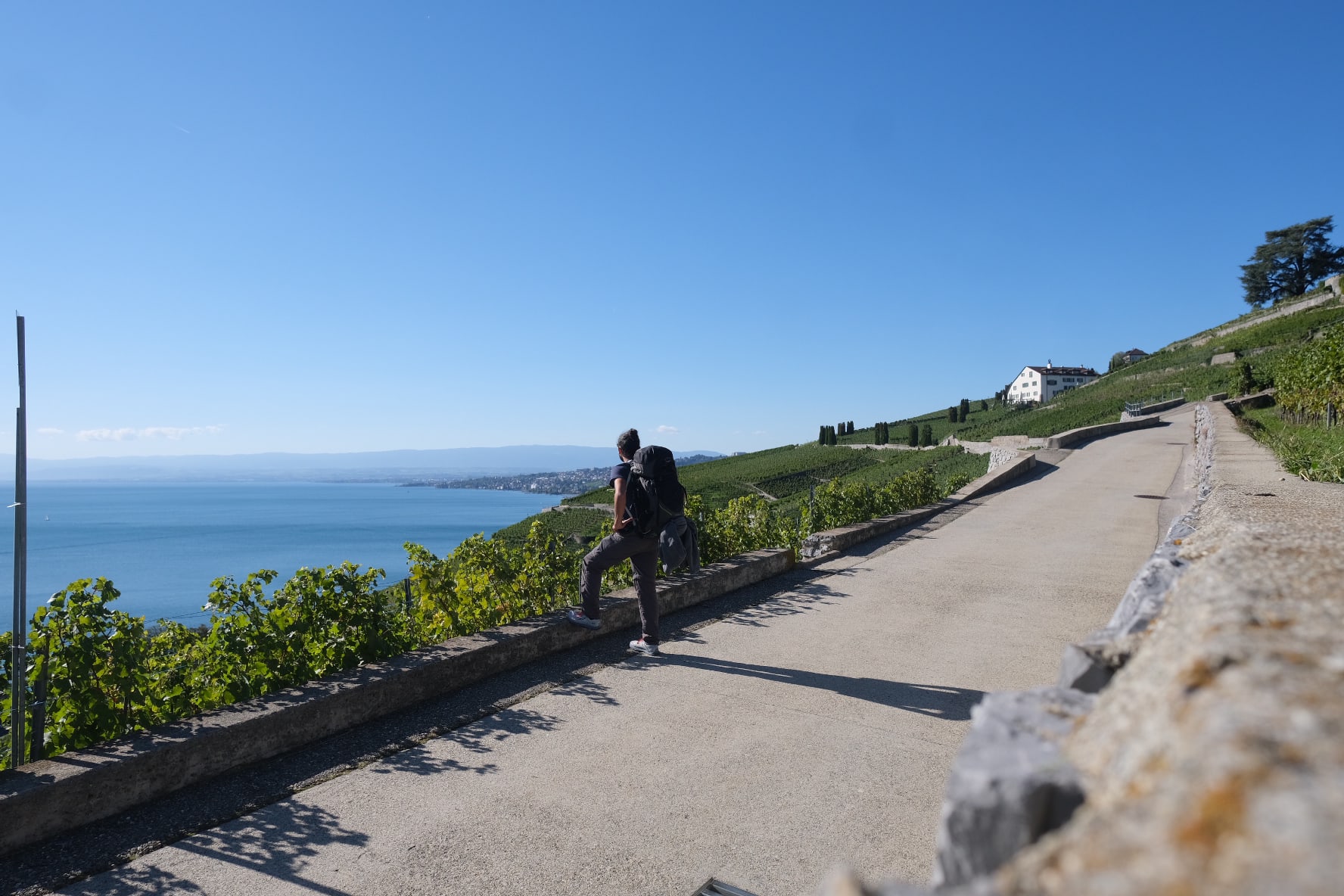 guy looking at lake geneva