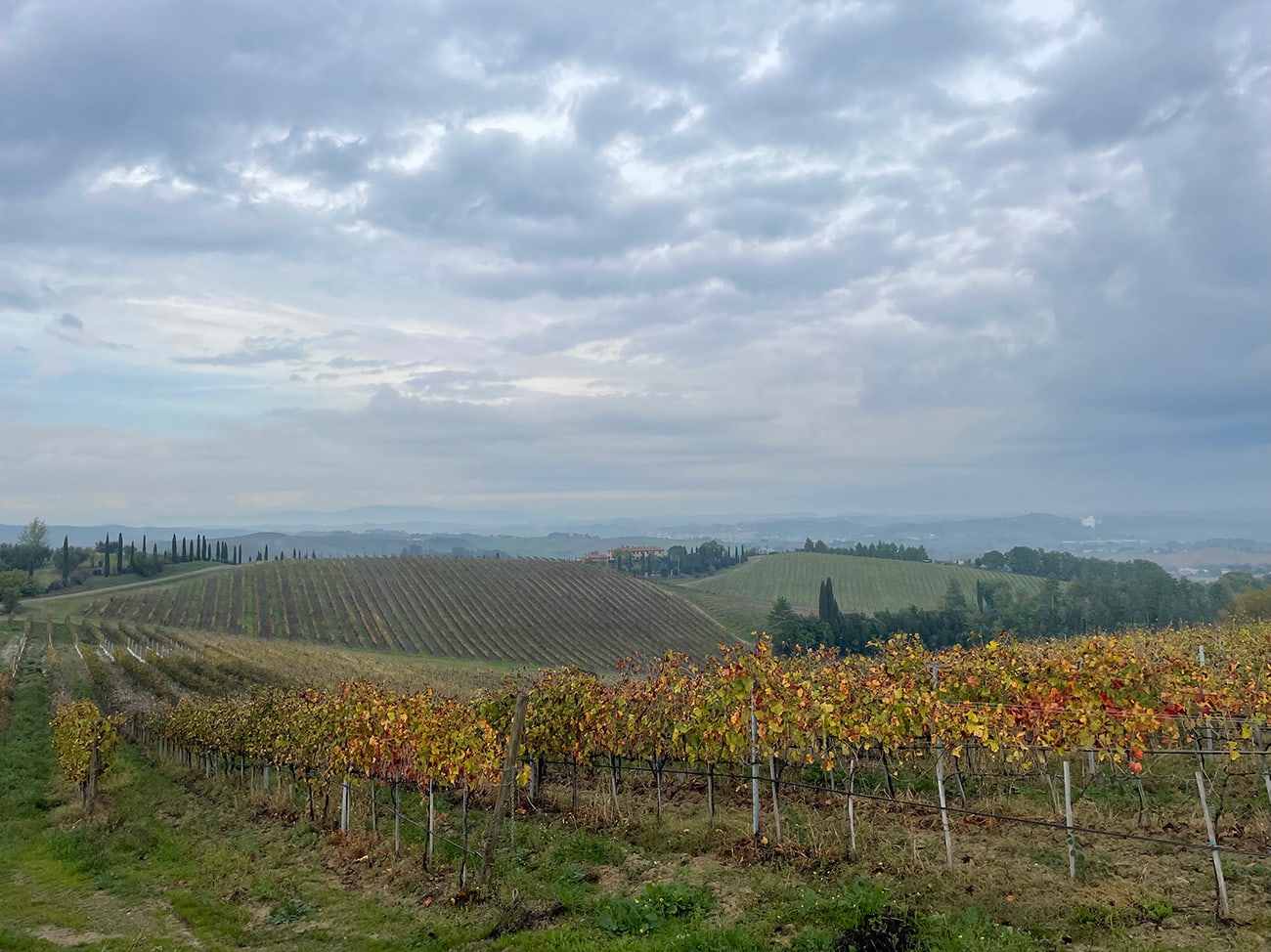 beautiful view in toscana via francigena