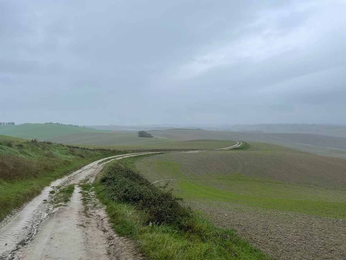 via francigena wet road