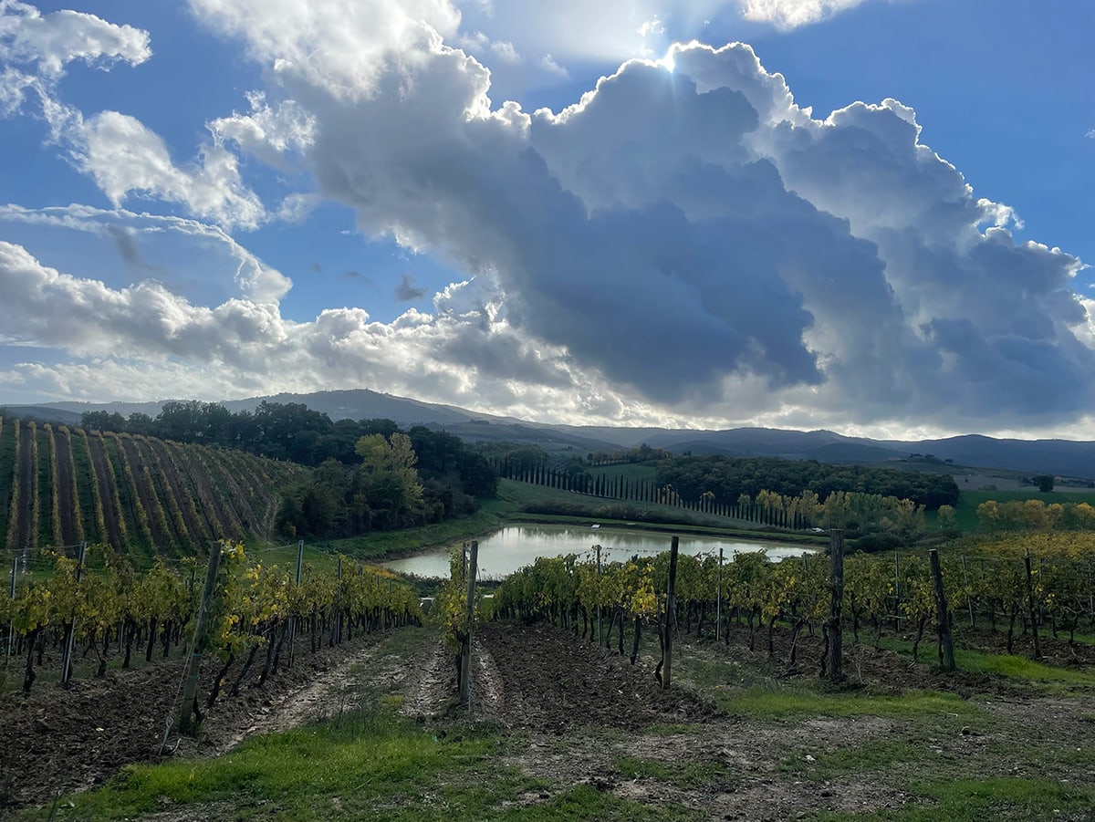 tuscany view