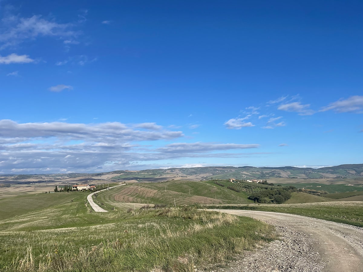 gallina toscana italy