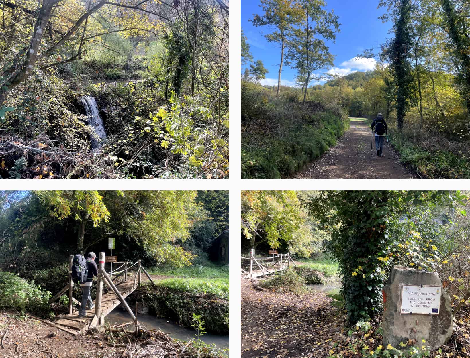 via francigena walk in forest