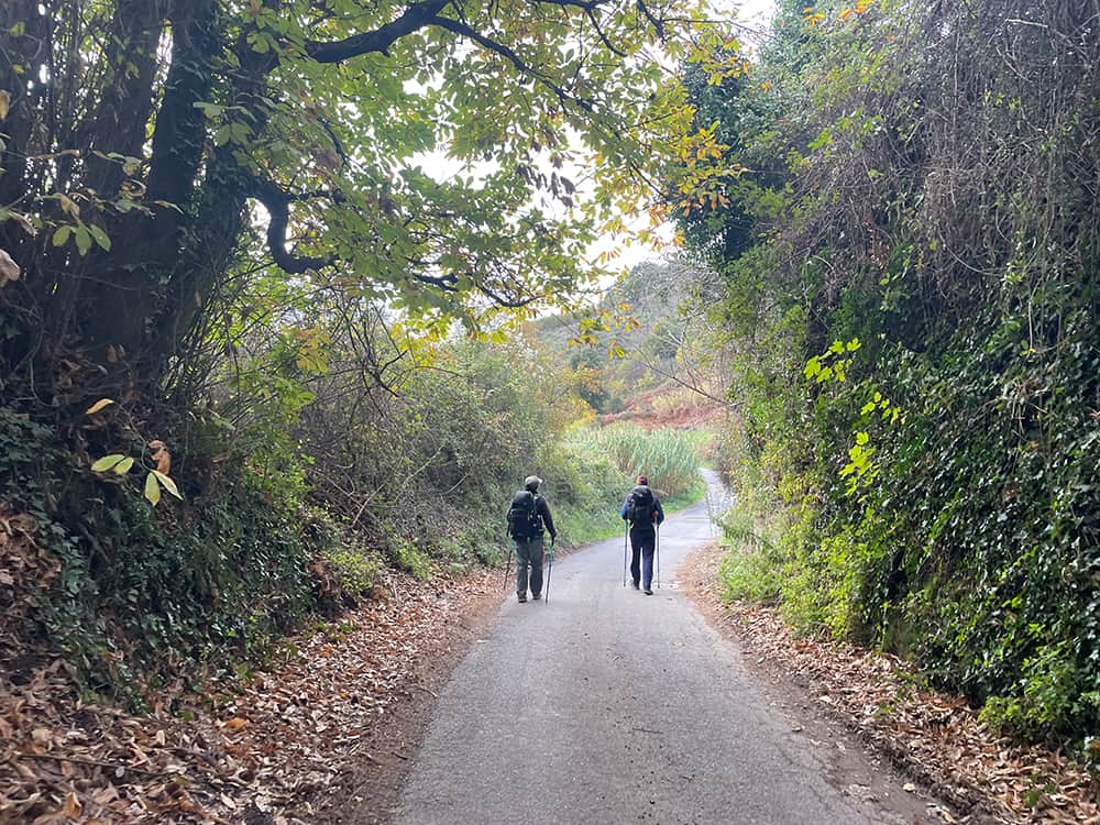 pilgrims walking on the via francigena